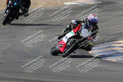 media/Mar-13-2022-SoCal Trackdays (Sun) [[112cf61d7e]]/Turns 9 and 8 (1020am)/